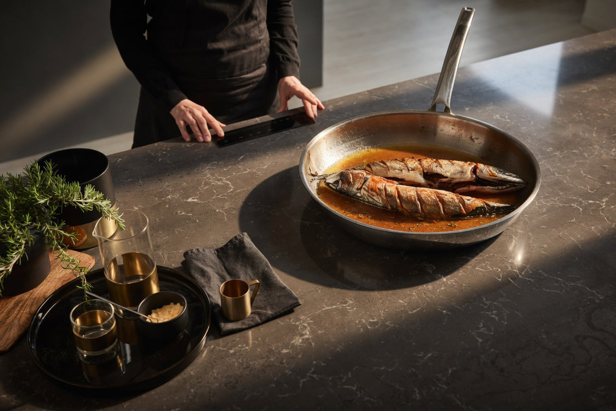 IMP-Invisible induxtion 4 (Invisible Induction Cooker)